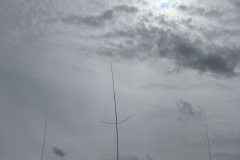 IMG_20260606_113103