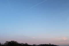 IMG_5752