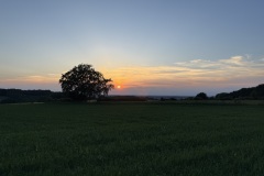 IMG_20250530_211503